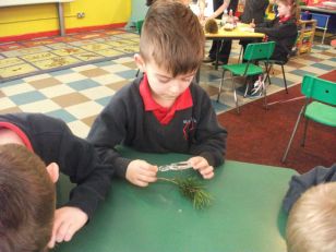 Pine Needles